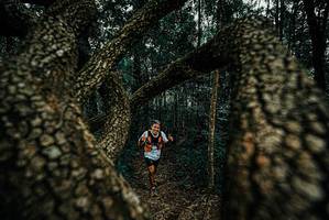 BIB: 
                            <button type="button" onclick="openModal(25673068)" class="btn btn-primary btn-sm float-right btn-popup" data-toggle="modal" data-target=".modal-high-quality">
                        <i class="fas fa-shopping-cart"></i> Add to Cart
                    </button>
                                            <button type="button" onclick="isThisMe(25673068, true)" class="btn btn-success btn-sm float-right btn-popup btn-isme hidden" data-toggle="tooltip" data-placement="bottom" title="นี่คือรูปของคุณใช่ไหม คลิกที่นี่เพื่อเอาเข้าอัลบั้ม">
                        <i class="fas fa-plus"></i> Add to album
                    </button>
                    <button type="button" onclick="isThisMe(25673068, false)" class="btn btn-warning btn-sm float-right btn-popup btn-isnotme hidden">
                        <i class="fas fa-ban"></i> Remove from album
                    </button>